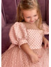 Blush Polka Dotted Lace Sweet Flower Girl Dress